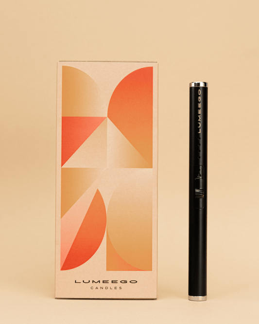 Electronic plasma lighter